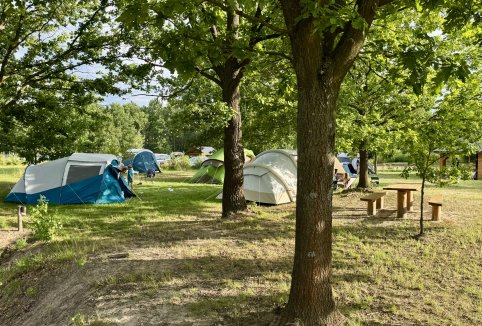 Pole namiotowe i kempingowe Tanew, Roztocze