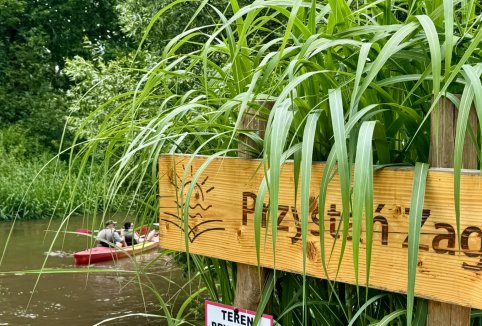 Spływy kajakowe Tanwią - Oferta spływów