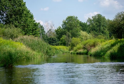 Informacje o rzece Tanew