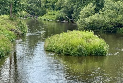 Informacje o rzece Tanew