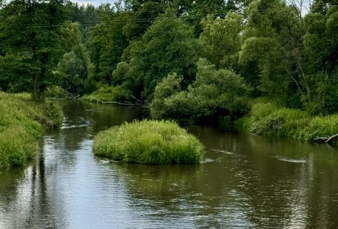 Informacje o rzece Tanew