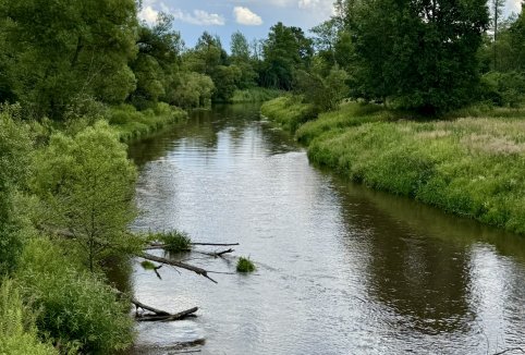 Informacje o rzece Tanew