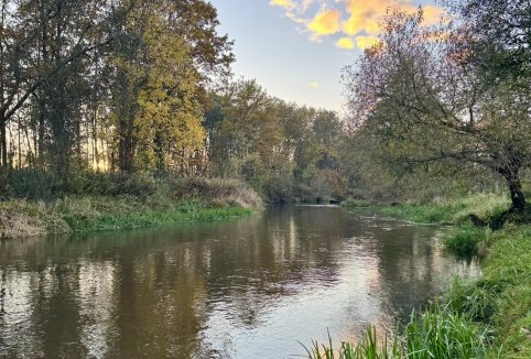 Informacje o rzece Tanew